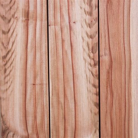 timber traders eco timber traders