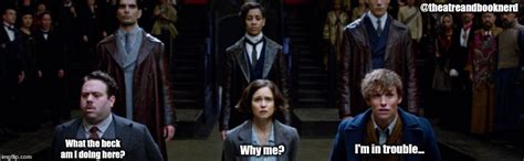 fantastic beasts    find  imgflip