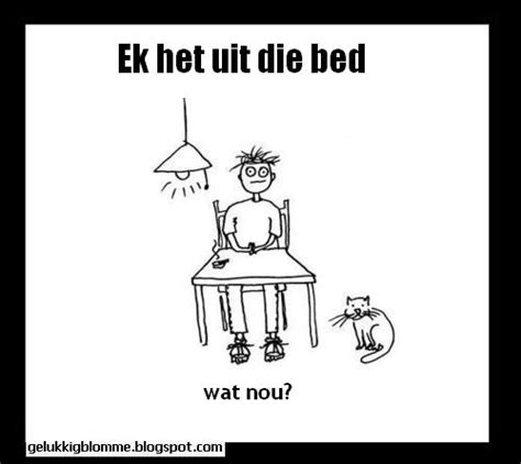 Afrikaans Cartoons : Free Download, Borrow, and Streaming : Internet ...