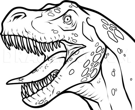 how to draw a t rex head