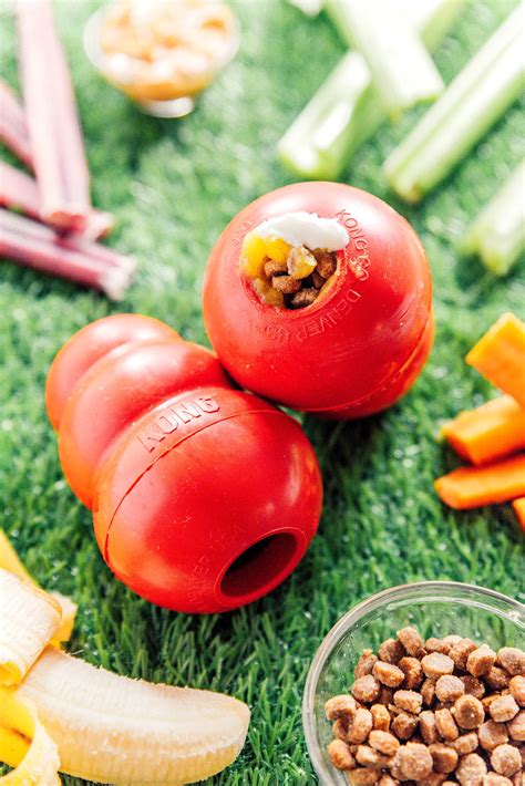 Why dog kong products are essential for every puppy owner 7