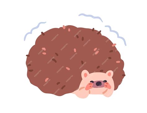 best hedgehog scared step by step 4