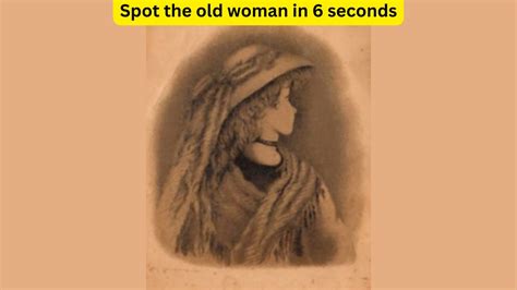 Optical Illusion Lady