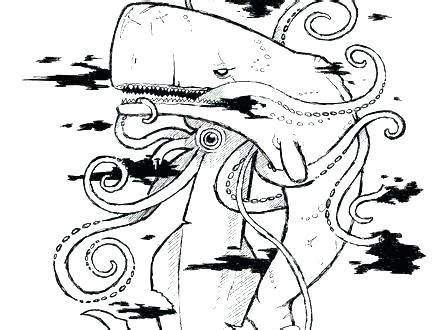 Colossal Squid Drawing at PaintingValley.com | Explore collection of ...