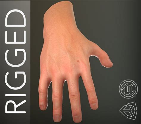 male hand rigged 3D model | Male hands, 3d model, Simple character