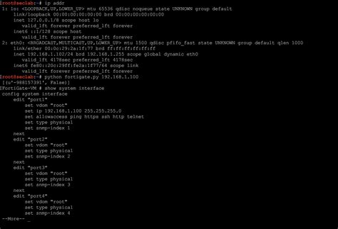 Fortinet FortiGate 4.x