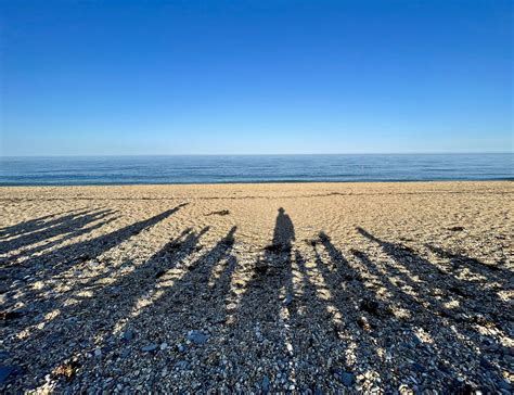 Devon Shire Carriages added a new... - Devon Shire Carriages