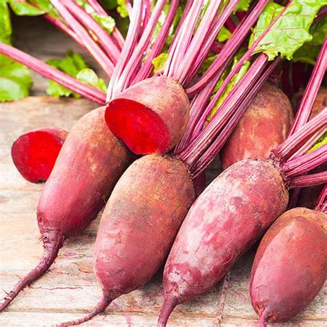 Свекла столовая Опольский - купить семена в Украине недорого | Florium.ua