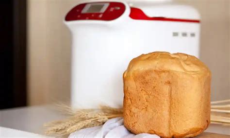 bread maker buying guideline
