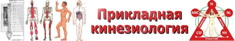 Упражнения Робина Маккензи