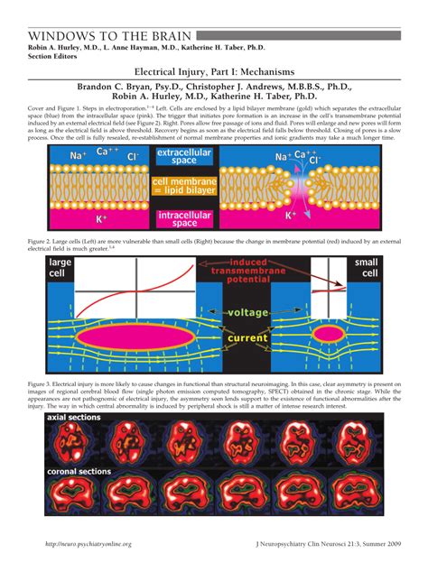 (PDF) Electrical Injury, Part I: Mechanisms