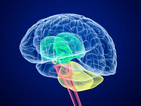 Cerebral palsy: Symptoms, causes, and treatments