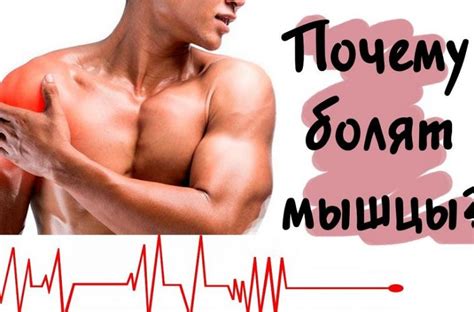 Почему болят мышцы после тренировок - Бодибилдинг и фитнес для мужчин и ...