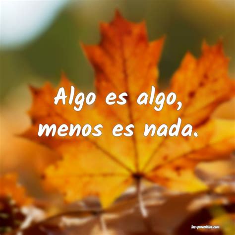 algo es algo dijo  calvo  se encontro  peine sin puas