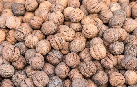 Walnut Many Healthy - Free photo on Pixabay - Pixabay