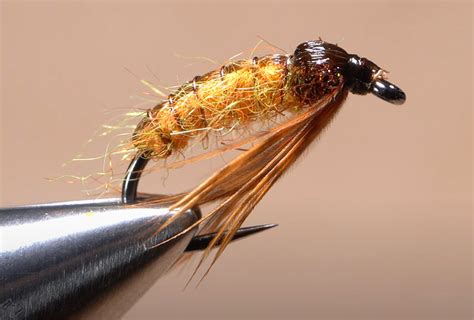 Video: How to Tie an October Caddis Pupa - Xpert Fly Fisher