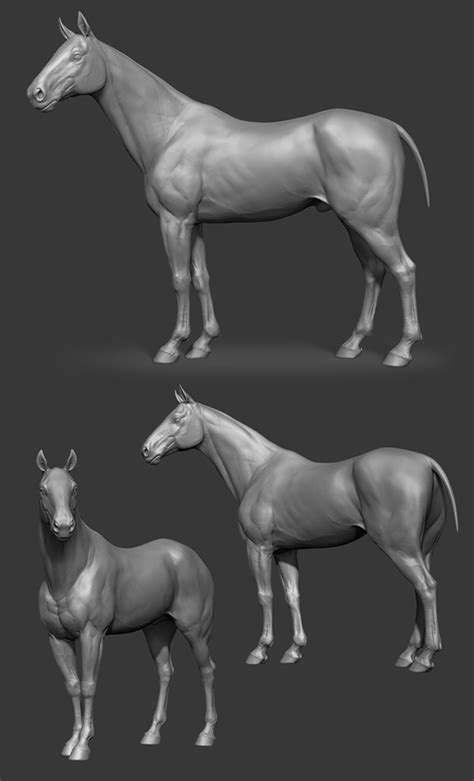 DIGITAL SCULPTURE (ZBrush) on Behance