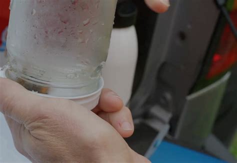 KUOW - How to hunt a 'murder hornet': Washington scientists capture and