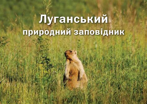 Луганський природний заповідник. Буклет-фотоальбом - Українська ...