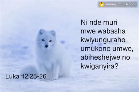 Luka 12:25-26 ⇒ Ni nde muri mwe wabasha kwiyunguraho umukono umwe, abiheshejwe no kwiganyira ...