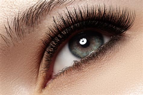 emmy lash  brow   washington groupon