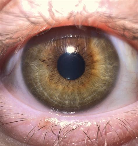 what color are my eyes