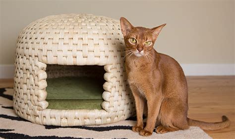 Traditional Japanese Neko Chigura Woven Cat House Now Available in the ...