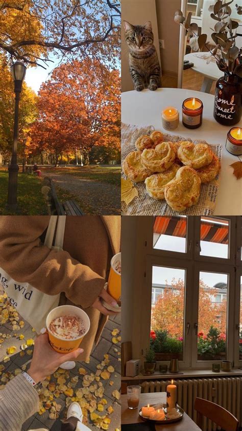 Осень 🍂 | Осенние фотографии, Осенние картинки, Тематические фотографии