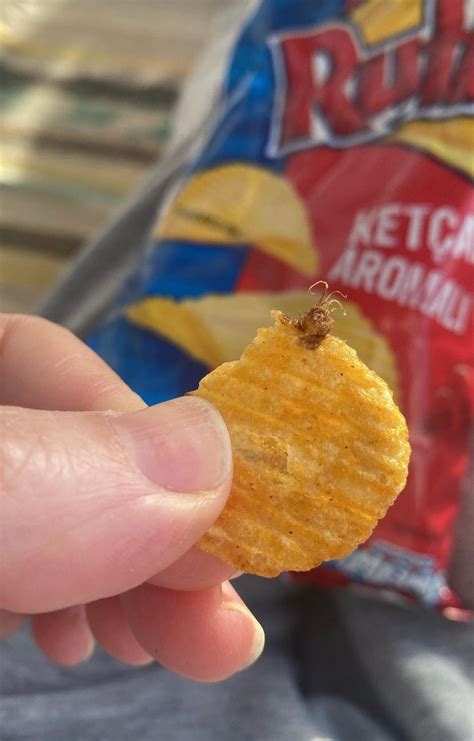 Ruffles Ketçaplı Cips İçinden Çıkan Böcek - Şikayetvar