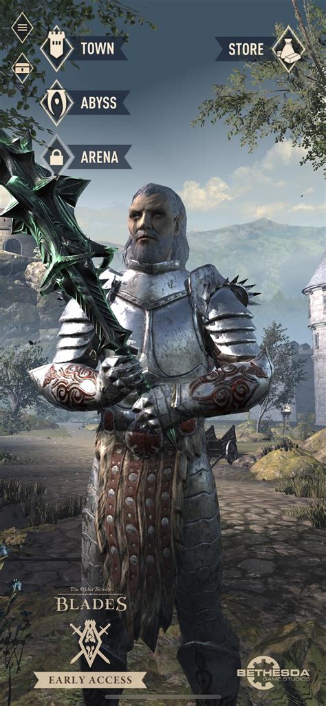 I personally think that all armor look better in blades than in Skyrim ...