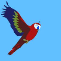 parrot gifs    gif  gifer