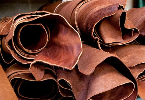 buy    buy leather   eco friendly  tough decision