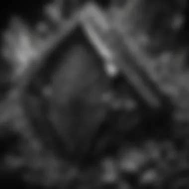 exploring  beauty  significance  black  white crystal stones