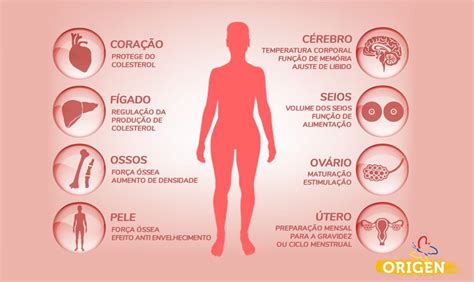 O Que O Estrogênio Faz No Corpo Da Mulher