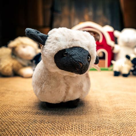 Blacknosed Sheep Stuffed Animal - Games & Toys - Amaro Farm | Farm ...