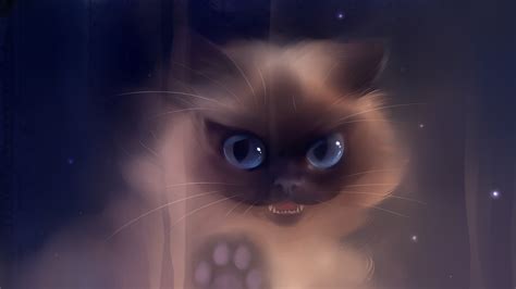 Foggy Cat - Wallpaper - Faxo