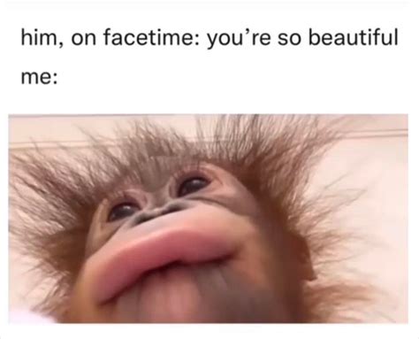 These 20 ‘Boyfriend Memes’ Are Pretty Spot-On | DeMilked