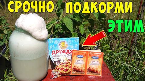 Дрожжи как удобрение - Дачная жизнь