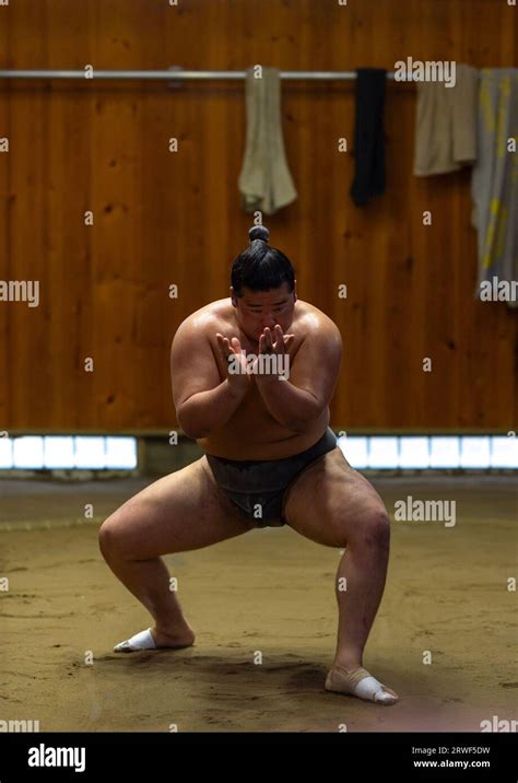 Sumo wrestler training in Tatsunami Beya sumo stable, Kanto region ...