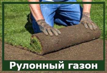 Искусственная трава Крым Симферополь Севастополь Ялта Евпатория Краснодар