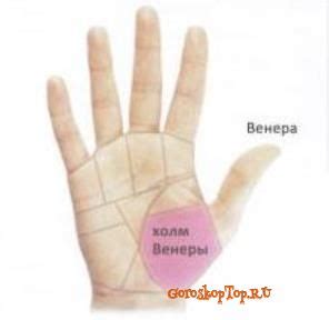 Холм Венеры на руке | Хиромантия