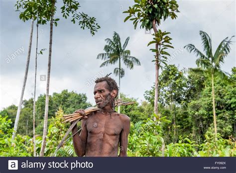 Kombai tribe new guinea hi-res stock photography and images - Alamy