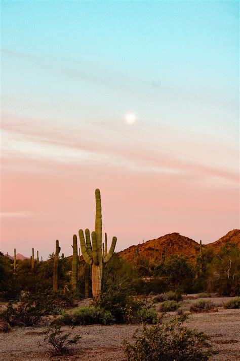 02 Desert Southwest — KT Mountain Studio
