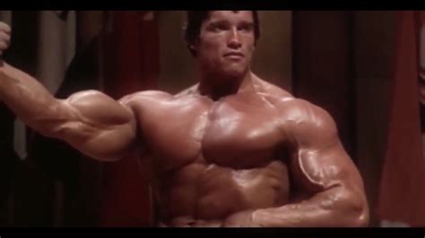 Pin by Gilen on Bodybuilding | Arnold schwarzenegger, Schwarzenegger ...