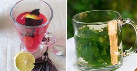 5 весомых причин пить чай с базиликом - Со Вкусом