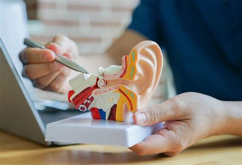 general ent surgery dr jae park ent  head neck surgeon toowoomba