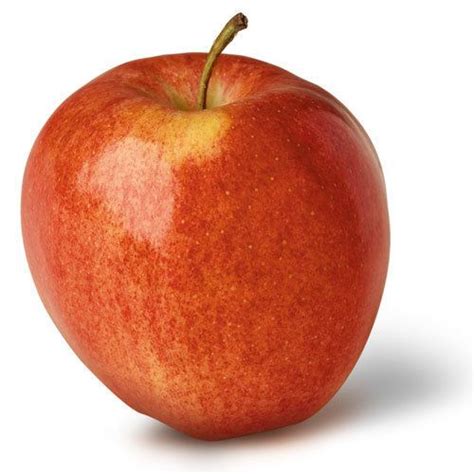Gala (apple) - Alchetron, The Free Social Encyclopedia