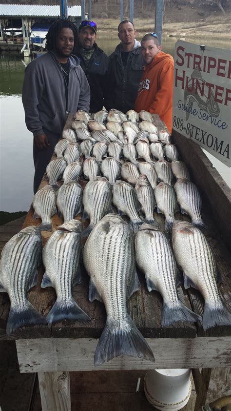 LAKE TEXOMA MID-WINTER FISHING REPORT!! - Lake Texoma AssociationLake Texoma Association