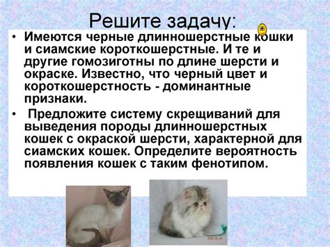 Дигибридное скрещивание - презентация онлайн