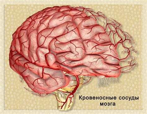 Гипертония болезнь века | Информационный портал NSP